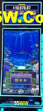 Live Casino 55WW
